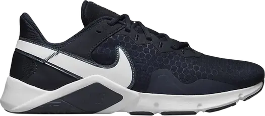 Кроссовки Nike Legend Essential 2 'Obsidian', синий