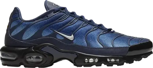 Кроссовки Nike Air Max Plus, синий