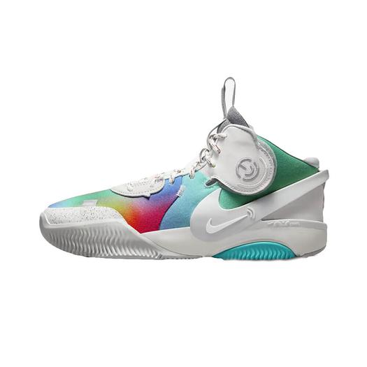 Баскетбольные кроссовки Nike Air Deldon "Together We Fly", мультиколор