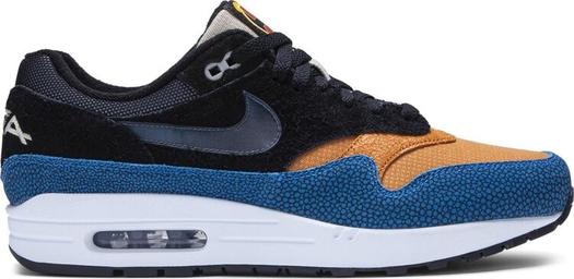 Кроссовки Nike De'Aaron Fox x Air Max 1 'Swipa', многоцветный
