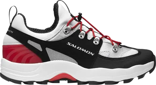 Кроссовки Salomon Raid Wind White Black Goji Berry, белый