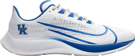Кроссовки Nike Air Zoom Pegasus 37 'Kentucky', белый