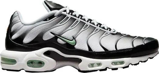 Кроссовки Nike Air Max Plus 'Seafoam', белый