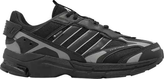 Кроссовки Adidas Spiritain 2000 GORE-TEX, черный
