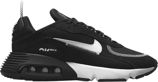 Кроссовки Nike Air Max 2090 'Black White', черный