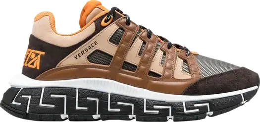 Кроссовки Versace Trigreca Testa Moro Beige, коричневый