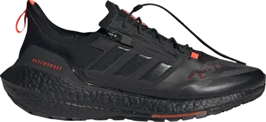 Кроссовки Adidas UltraBoost 21 GORE-TEX, черный