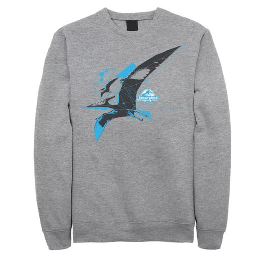 Мужской флисовый пуловер Jurassic World Pterodactyl с геометрическим полиграфическим рисунком Licensed Character