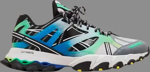 Кроссовки dmx trail shadow 'gradient pack - bottle green' Reebok, серый