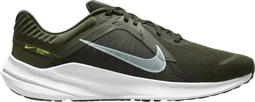 Кроссовки Nike Quest 5 'Cargo Khaki Sequoia', зеленый