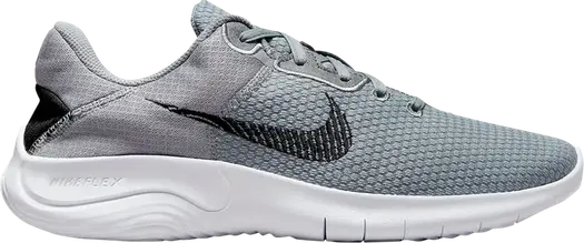 Кроссовки Nike Flex Experience Run 11 Next Nature 'Particle Grey', серый