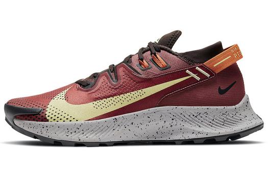 Мужские кроссовки для бега Nike Pegasus Trail 2