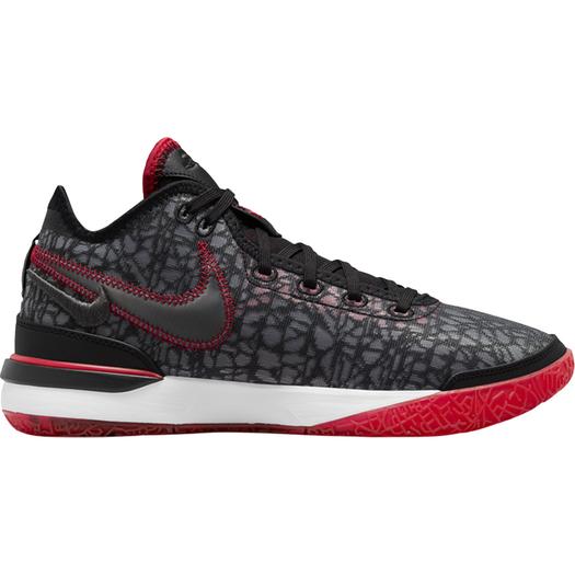 Кроссовки Nike FaZe Clan x Zoom LeBron NXXT Gen EP, черный