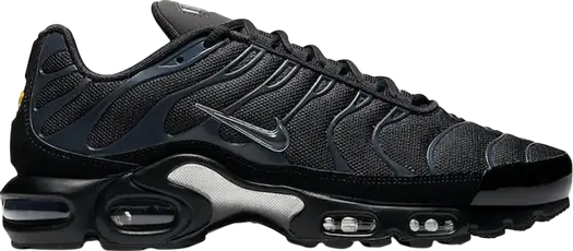 Кроссовки Nike Air Max Plus 'Black Navy', синий