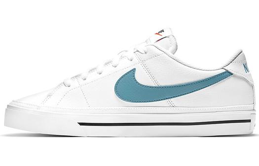 Мужские кроссовки для скейтбординга Nike Court Legacy