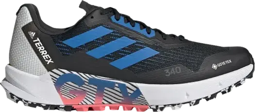 Кроссовки Adidas Terrex Agravic Flow 2.0 GTX 'Black Blue Rush Turbo', черный