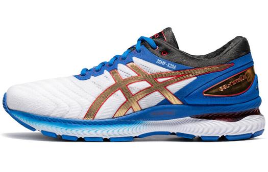 Мужские кроссовки Asics GEL-Nimbus 22