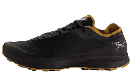 Мужские кроссовки Arcteryx Norvan SL, черный