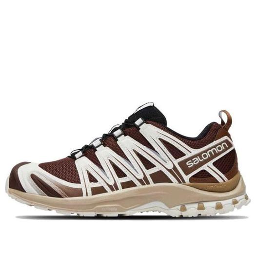 Кроссовки Salomon XA Pro 3D, коричневые