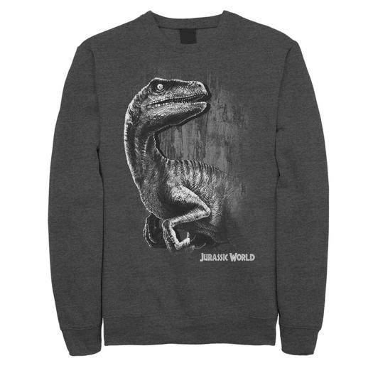 Мужской флисовый пуловер Jurassic World Raptor Grunge Portrait Licensed Character