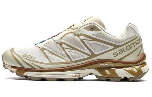 Кроссовки Salomon XT-6 Turtledove Хаки