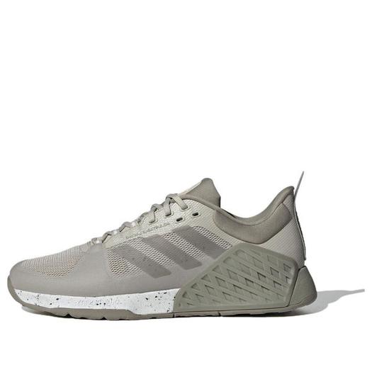 Кроссовки adidas Dropset 2 Training 'Pantone', серый
