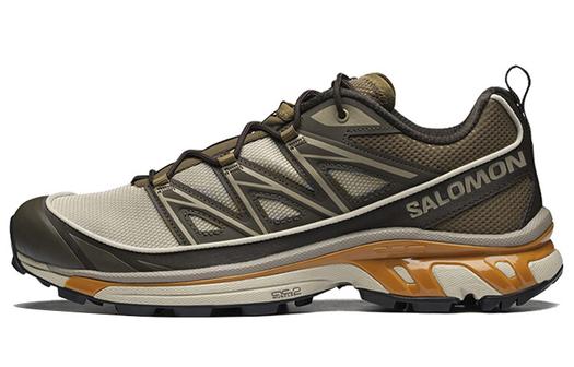 Кроссовки Salomon XT-6 Expanse Feather Grey Golden Oak