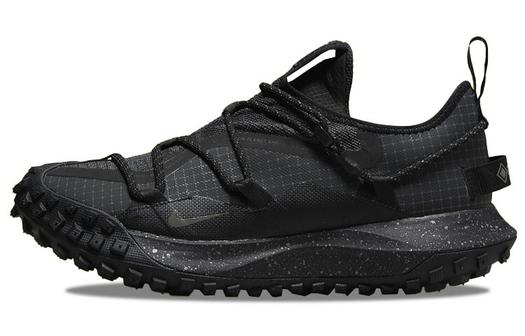 Кроссовки Nike ACG Mountain Fly Low Gore Tex SE, темно-серый