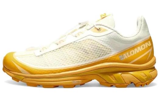 Кроссовки Salomon XT-6 FT Ваниль Бакскин Ледяной орех