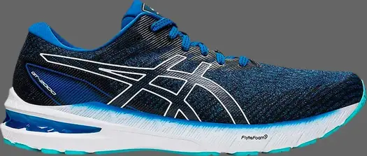 Кроссовки gt 2000 10 2e wide 'lake drive' Asics, синий