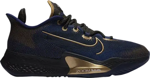Кроссовки Nike Air Zoom BB NXT EP 'Blue Void Gold', синий