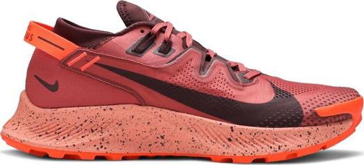 Кроссовки Nike Pegasus Trail 2 'Canyon Rust', оранжевый
