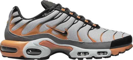 Кроссовки Nike Air Max Plus 'Wolf Grey Hot Curry', серый