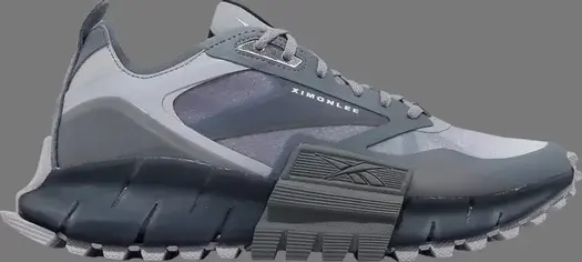 Кроссовки ximon lee x zig kinetica horizon edge 'snake pack - metallic grey navy' Reebok, серый