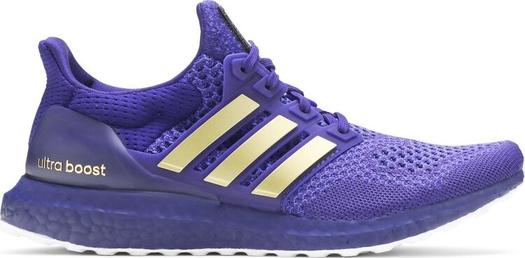Кроссовки Adidas UltraBoost 1.0 'NCAA Pack - Washington', фиолетовый