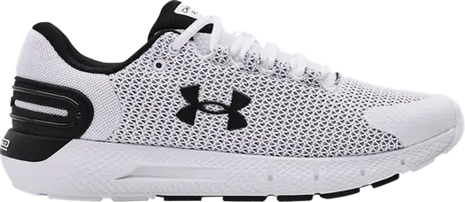 Кроссовки Under Armour Charged Rogue 2.5 White Black, белый