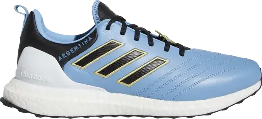 Кроссовки Adidas UltraBoost DNA 'Copa World Cup - Argentina', синий