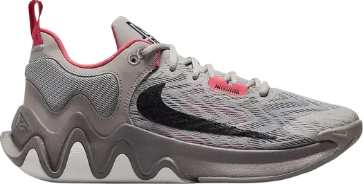 Кроссовки Nike Giannis Immortality 2 'Cobblestone', серый