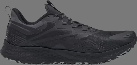 Кроссовки floatride energy 4 adventure 'black pure grey' Reebok, черный
