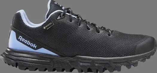Кроссовки wmns sawcut 7.0 gtx 'cornflower blue' Reebok, синий