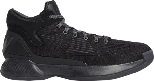 Кроссовки Adidas D Rose 10 'Core Black', черный