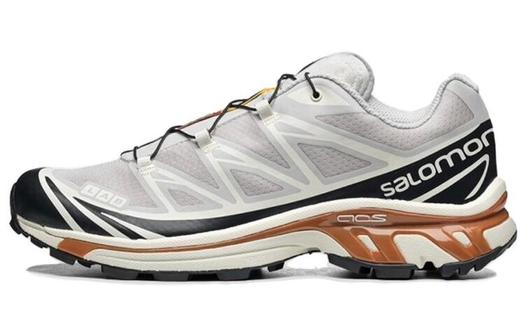 Кроссовки Salomon XT-6, серый/черный/коричневый