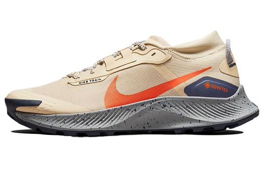 Мужские кроссовки для бега Nike Pegasus Trail 3