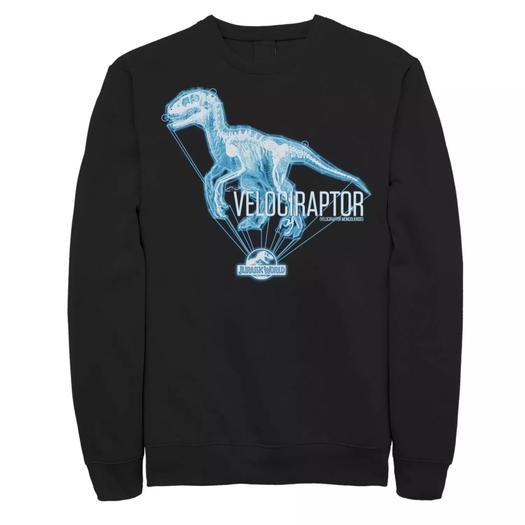Мужской свитшот с голограммой и логотипом Jurassic World Velociraptor Licensed Character, черный