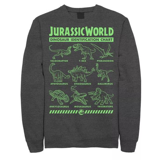 Мужская толстовка Jurassic World Two Dino Gradient ID Chart Licensed Character