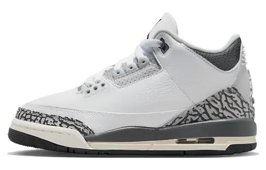 Кроссовки Jordan 3 Retro Hide N' Sneak (GS)