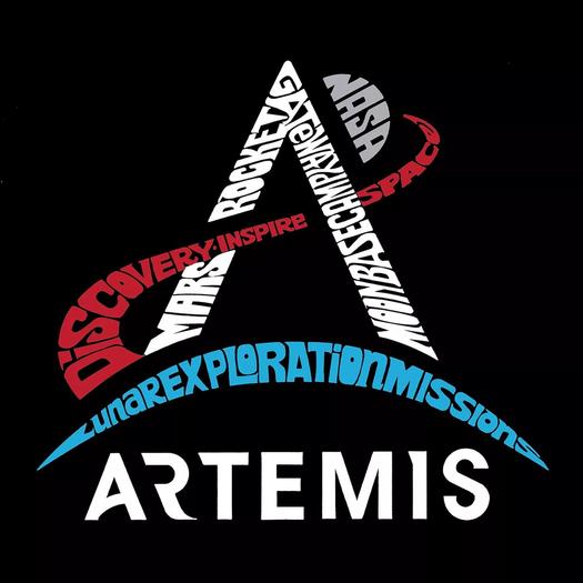 Логотип NASA Artemis — мужской свитшот с круглым вырезом Word Art LA Pop Art