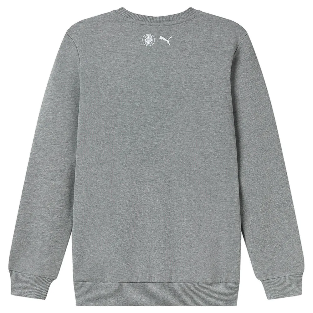 

Толстовка Puma Blank Girona, серый