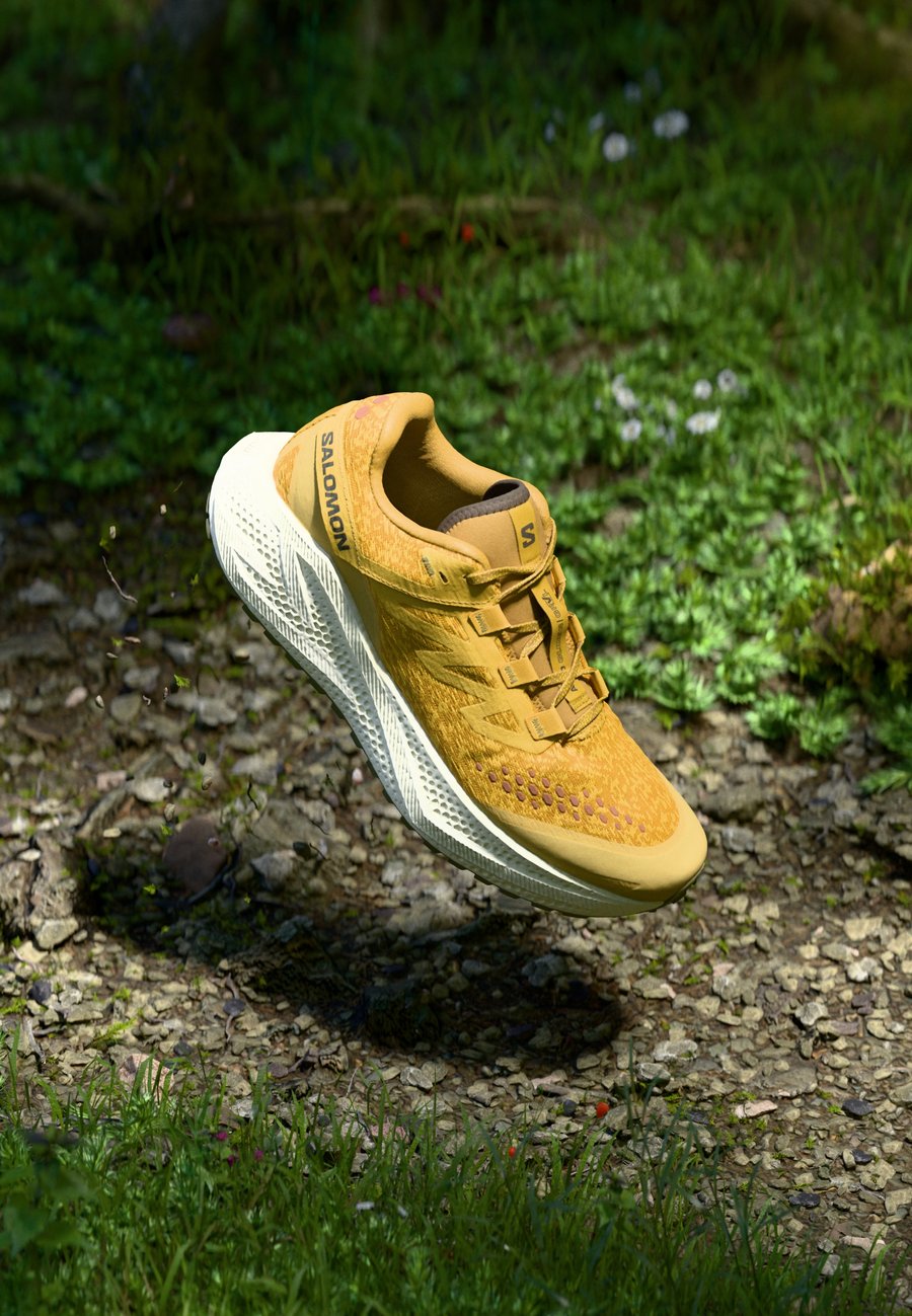 

Кроссовки Salomon AERO GLIDE 3, Spicy Mustard/Vanilla Ice/Deep Lichen Green/Mustard Yellow