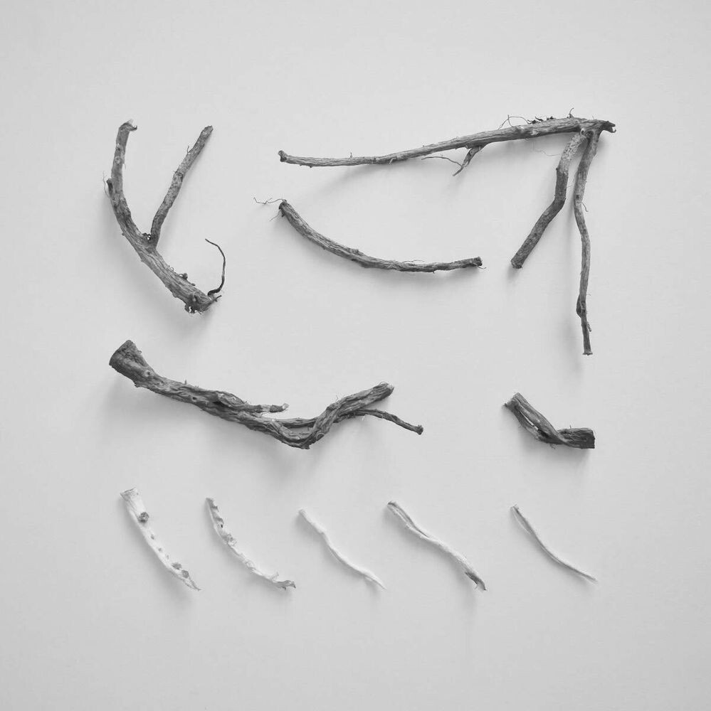 

Виниловая пластинка LP These Charms May Be Sung Over A Wound - Richard Skelton